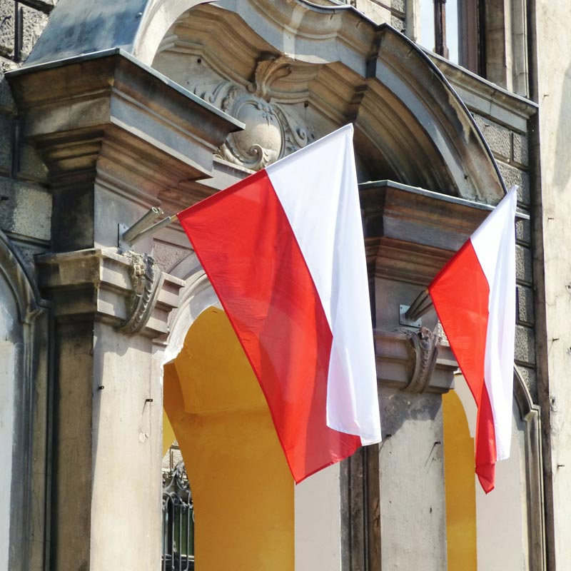 Polish Translation