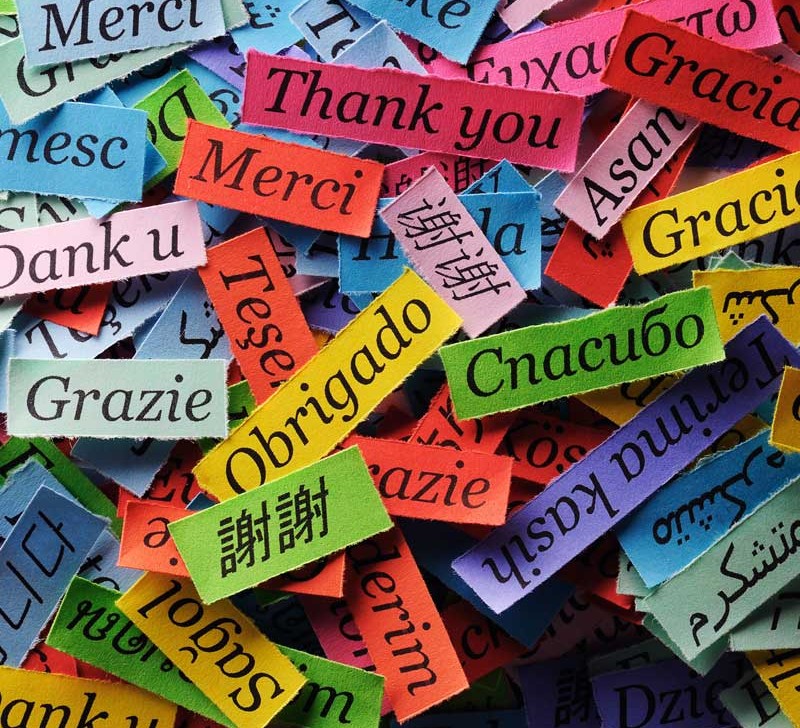 multilingualism