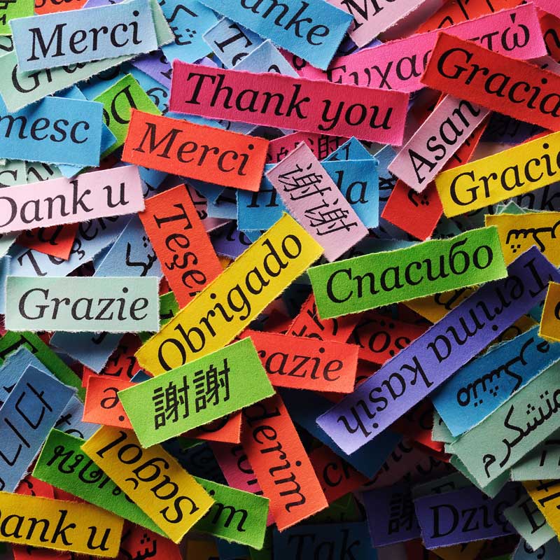 multilingualism