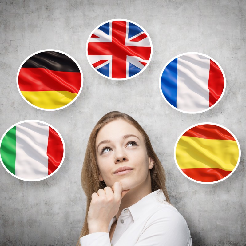 multilingual translation and localisation